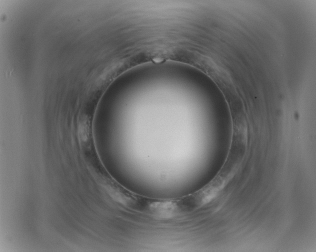 X0000073700133200608031224