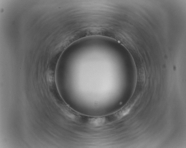 X0000073700135200608031224