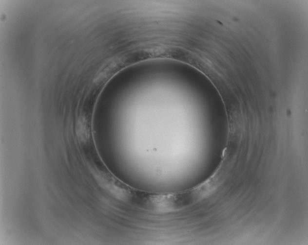 X0000073700136200608031224