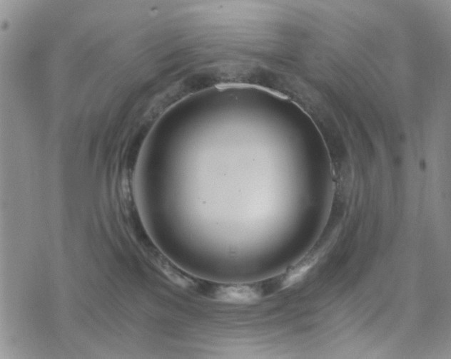 X0000073700137200608031224