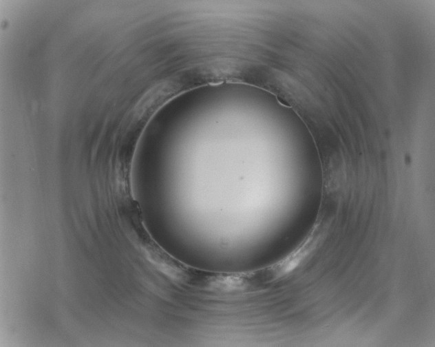 X0000073700140200608031224