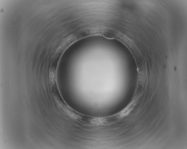 X0000073700142200608031224