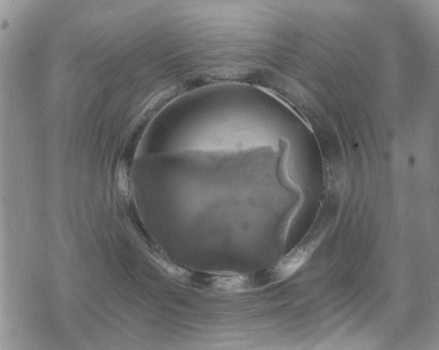 X0000073700143200608031224