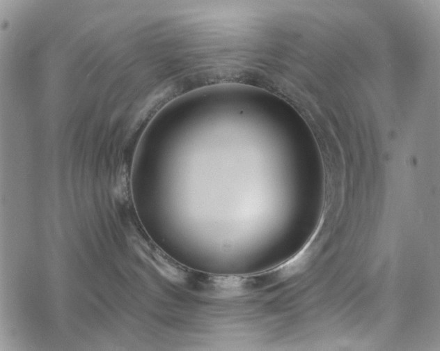 X0000073700144200608031224