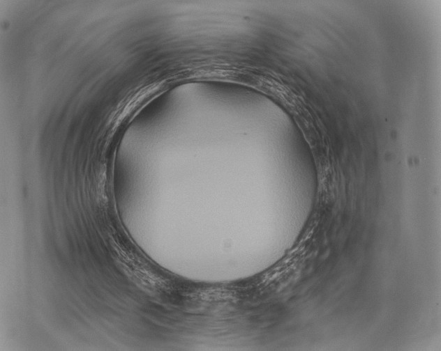 X0000073700146200608031223