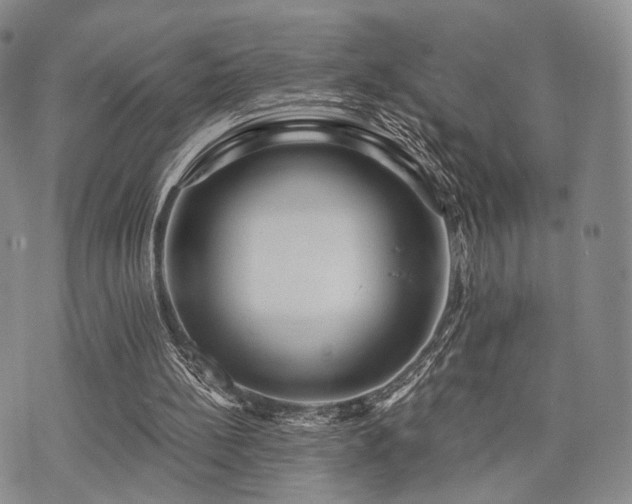 X0000073700148200608031223