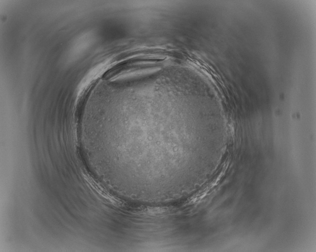 X0000073700149200608031223