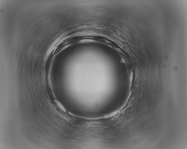 X0000073700150200608031223