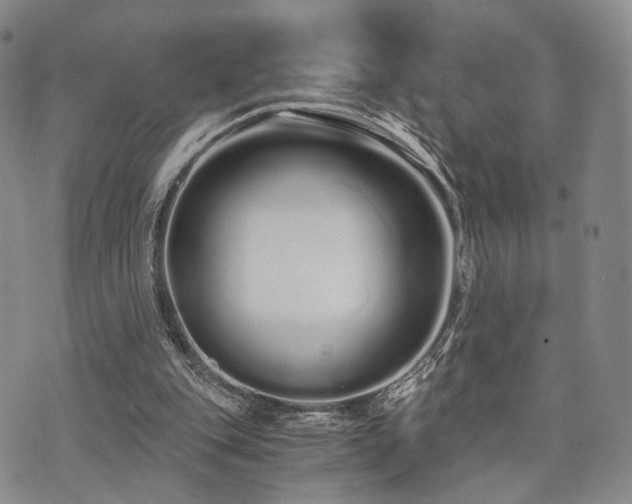 X0000073700151200608031223