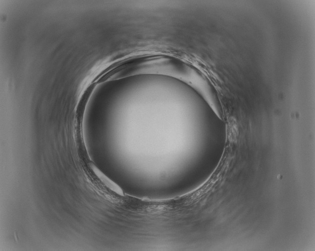 X0000073700152200608031223