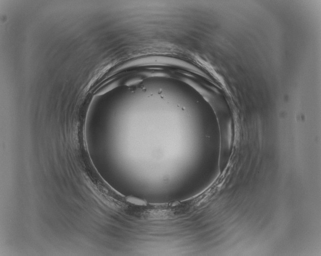 X0000073700154200608031223