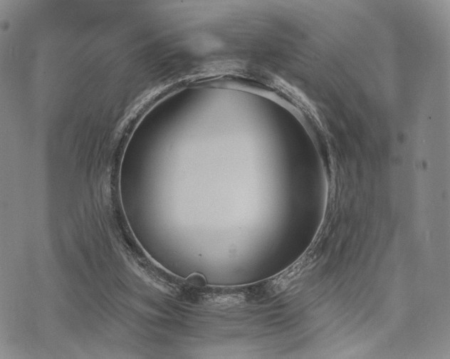 X0000073700155200608031223