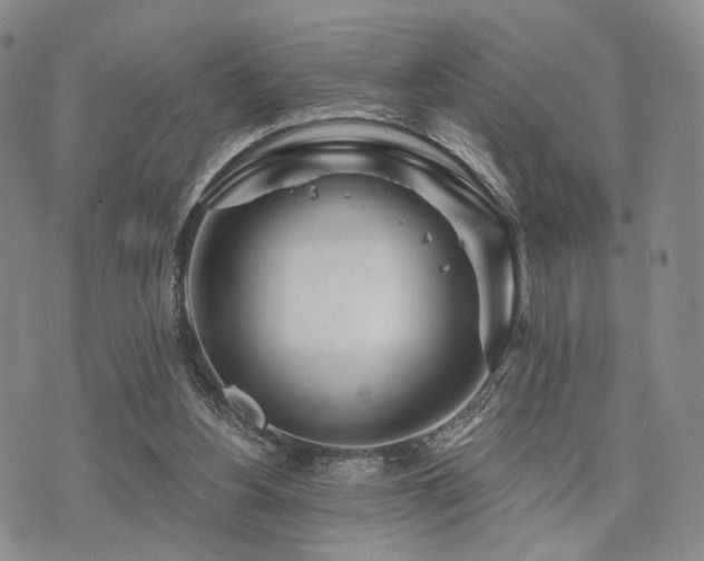 X0000073700156200608031223