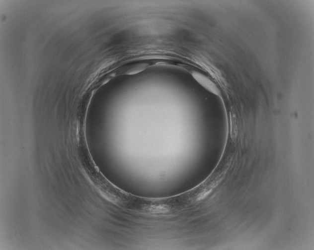 X0000073700157200608031223