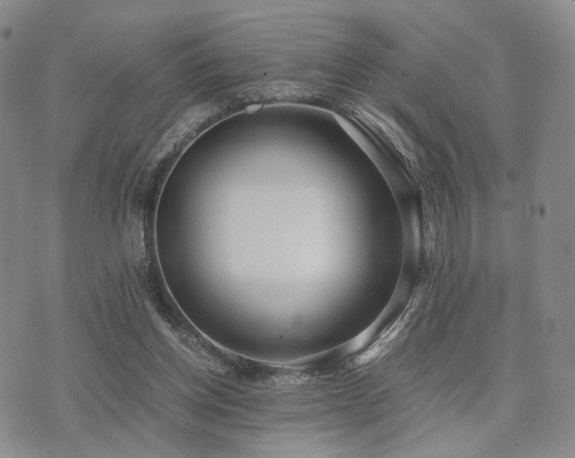 X0000073700158200608031223