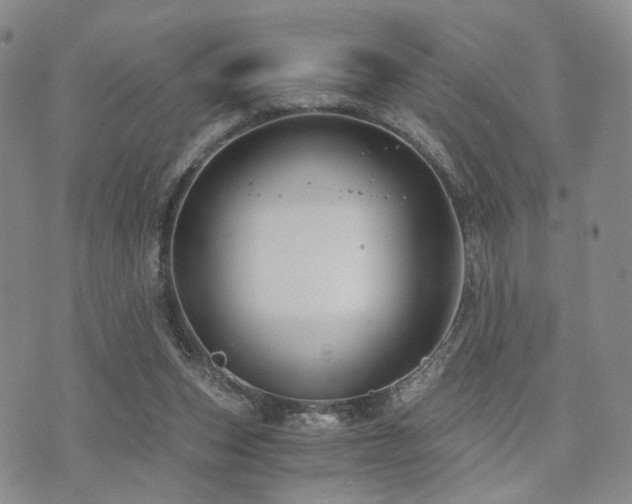 X0000073700159200608031223