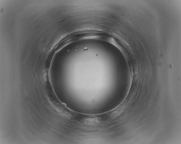 X0000073700160200608031223