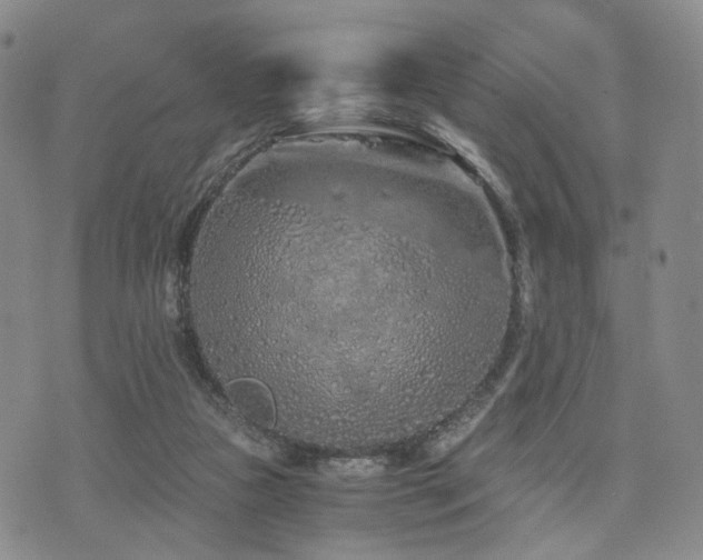 X0000073700161200608031223