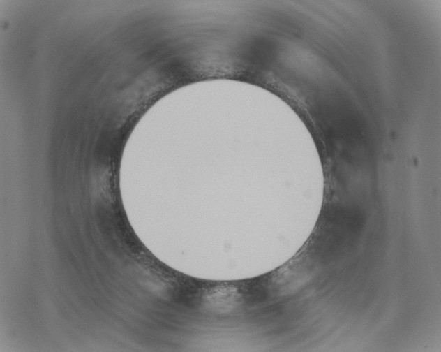 X0000073700162200608031223