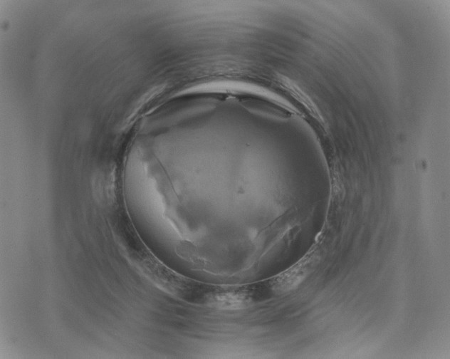 X0000073700163200608031223