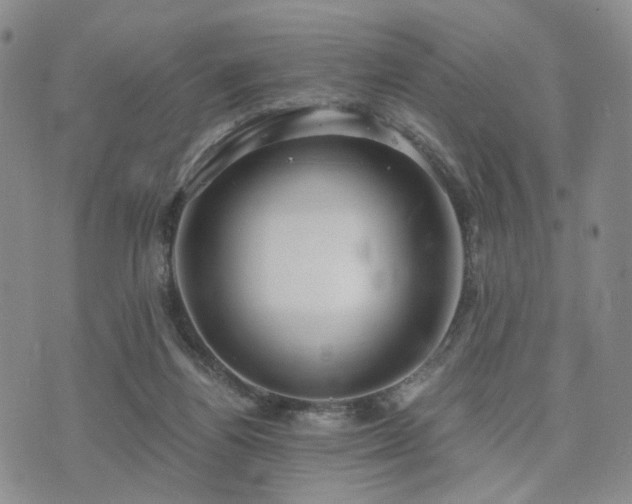 X0000073700164200608031223