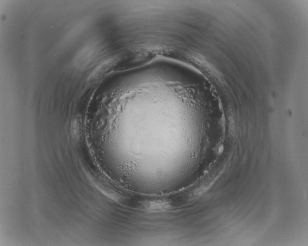 X0000073700165200608031223