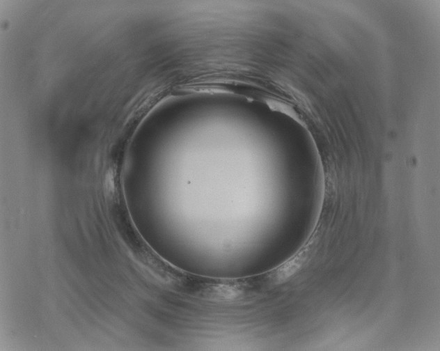 X0000073700166200608031223