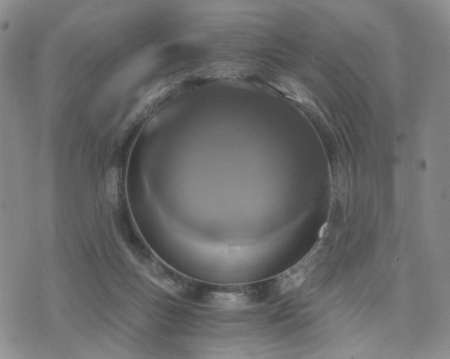 X0000073700167200608031223