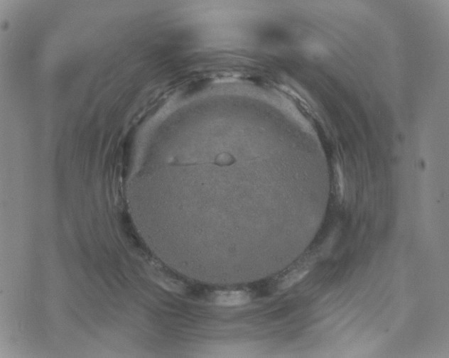 X0000073700169200608031223