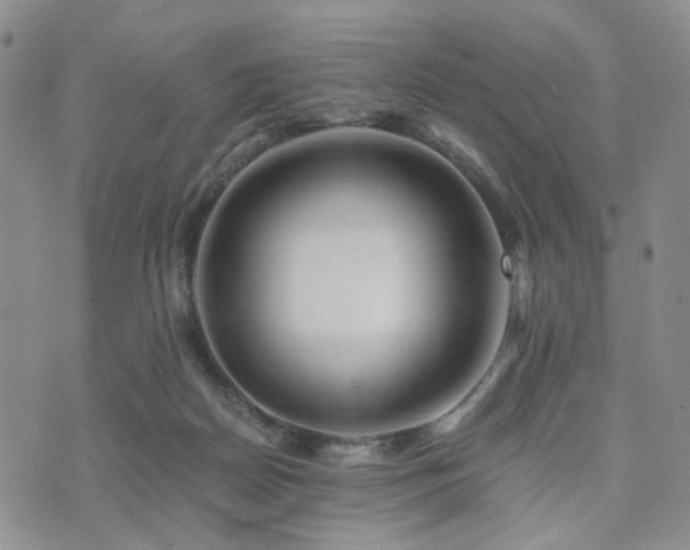 X0000073700170200608031223