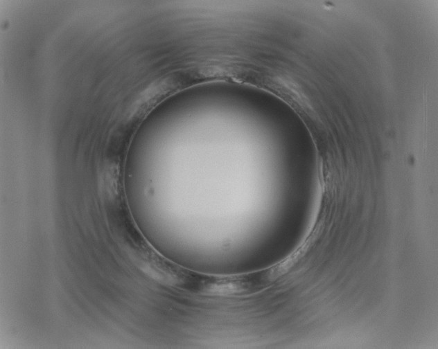 X0000073700171200608031223