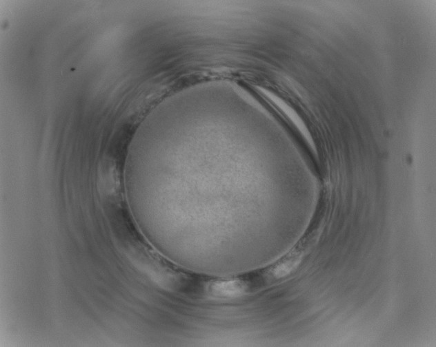 X0000073700173200608031223