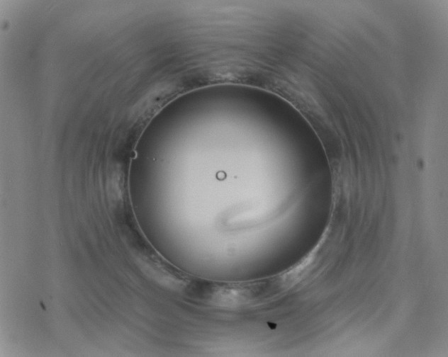 X0000073700174200608031223