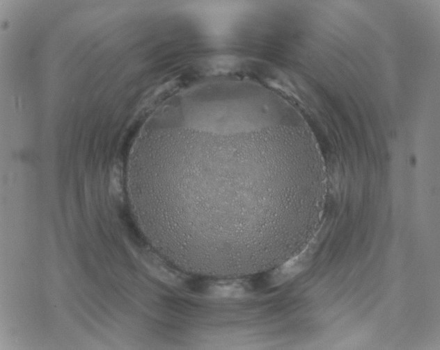 X0000073700175200608031223