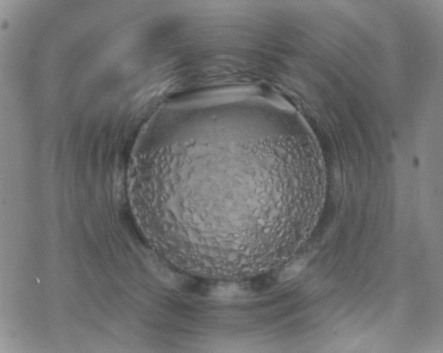 X0000073700177200608031223