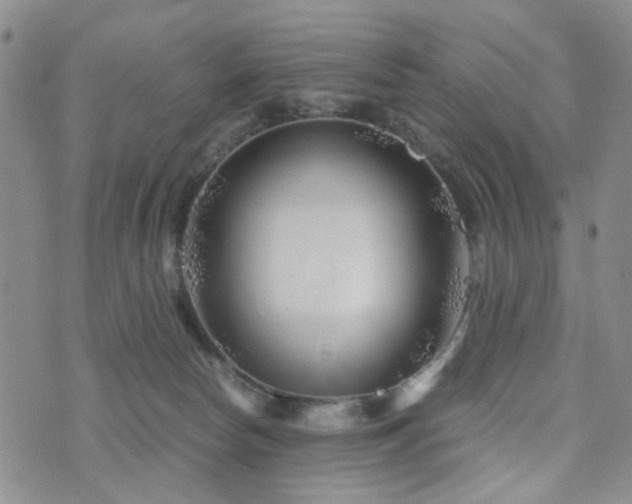 X0000073700178200608031223