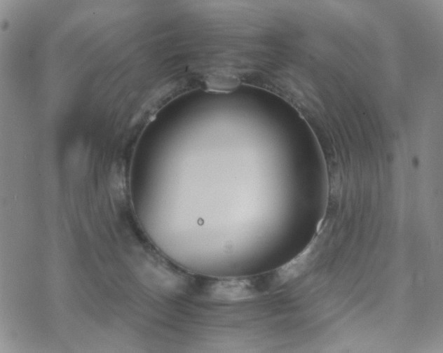 X0000073700179200608031223