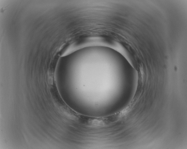 X0000073700180200608031223