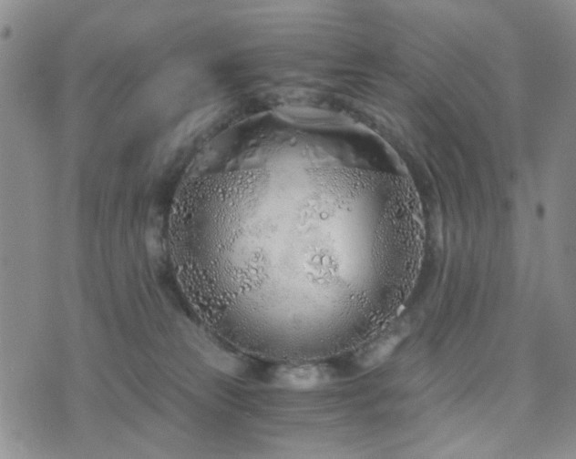 X0000073700181200608031224