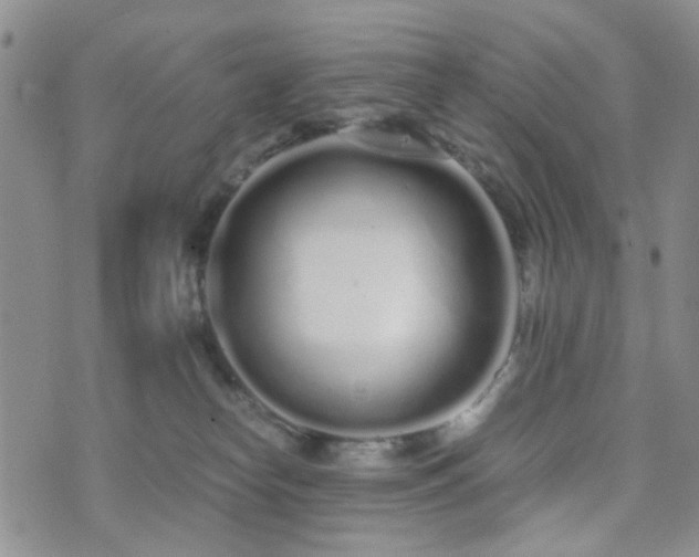 X0000073700182200608031224