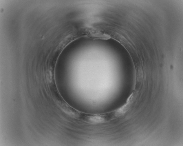 X0000073700183200608031224