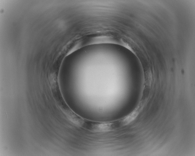 X0000073700184200608031224