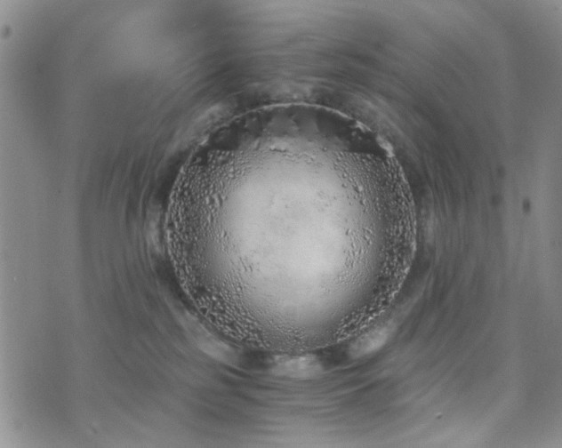 X0000073700185200608031224