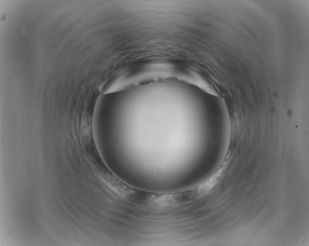 X0000073700186200608031224