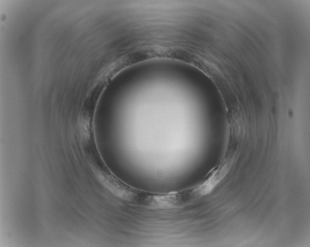 X0000073700188200608031224