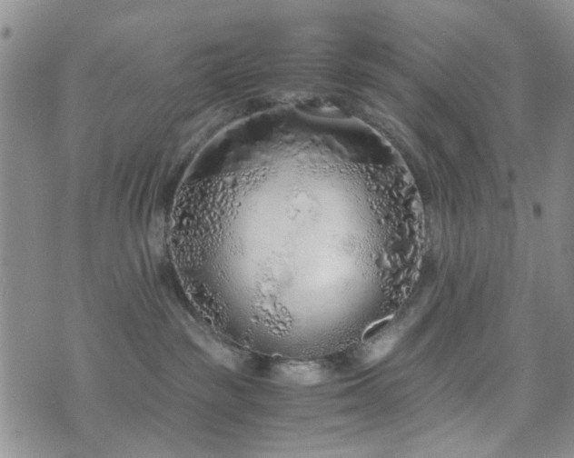 X0000073700189200608031224