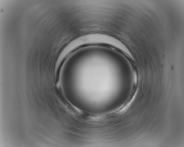 X0000073700190200608031224