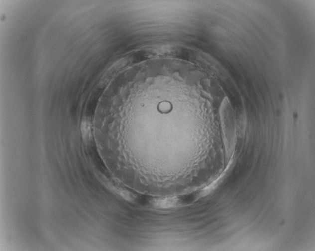 X0000073700191200608031224