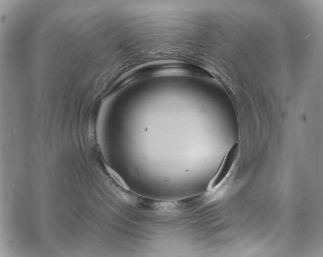 X0000073700192200608031224