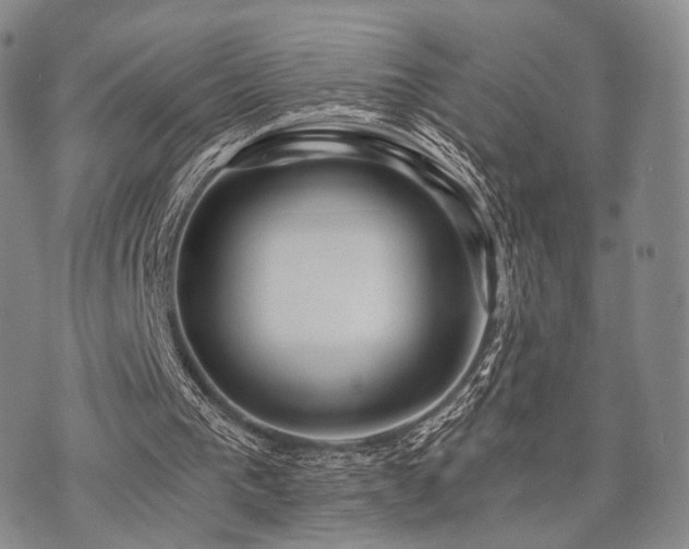 X0000073700193200608031223